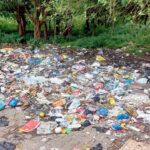 Mumbai: Plastic menace in Aarey; wildlife, forest under severe threat