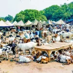 Chembur man dupes 10 investors of Rs 83 lakh with fake goat and garment business