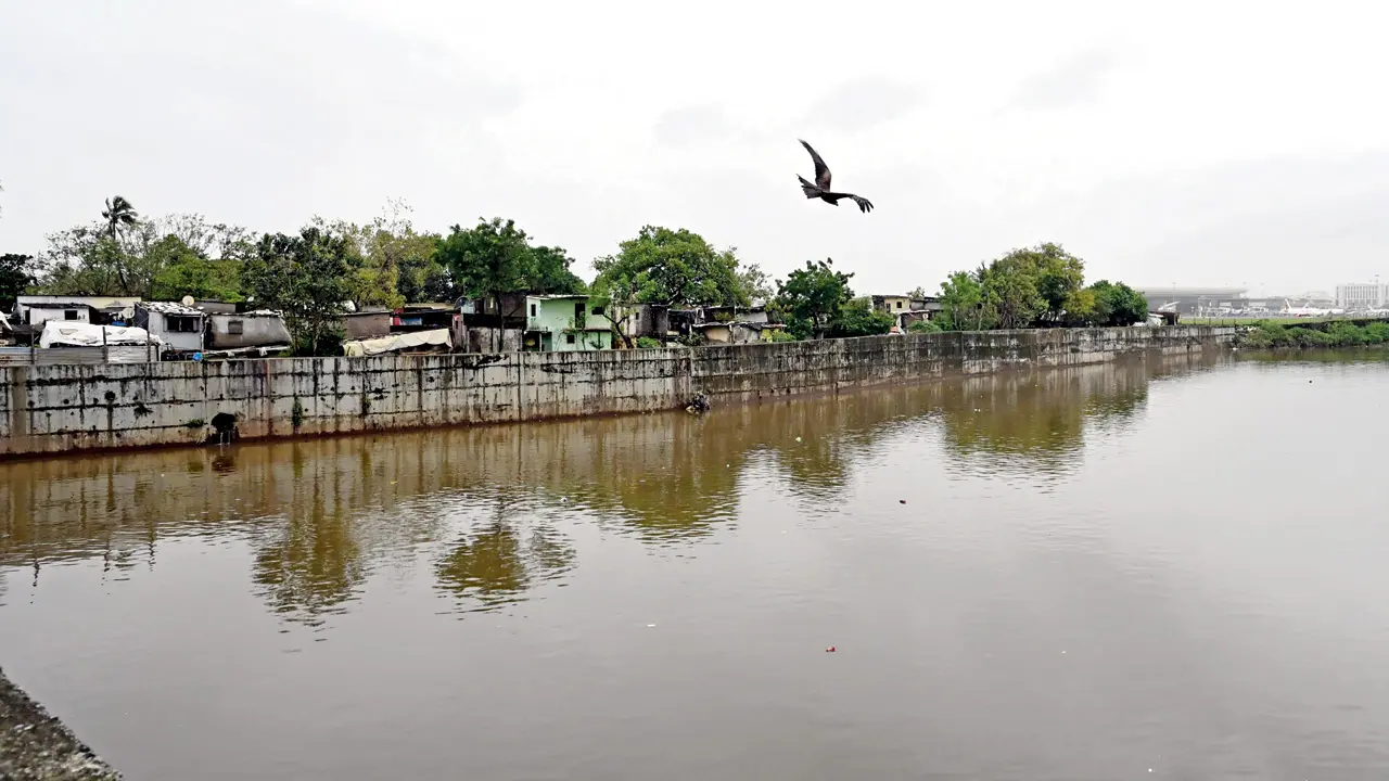 BMC Election 2026: Environment and Infrastructure Define Mumbai's Vote