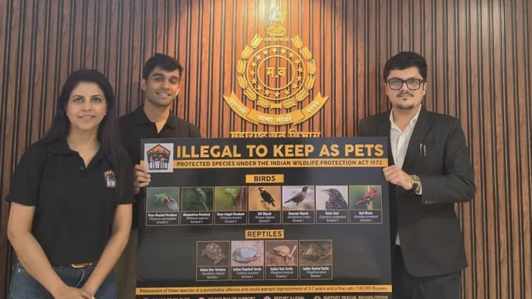 Wildlife Week 2026: RiWild launches campaign against illegal wildlife pet trade